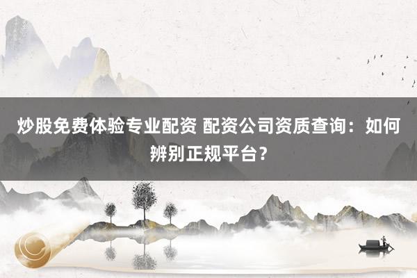 炒股免費體驗專業(yè)配資 配資公司資質(zhì)查詢:如何辨別正規(guī)平臺?